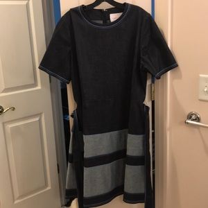 Carolina Herrera Denim Dress!